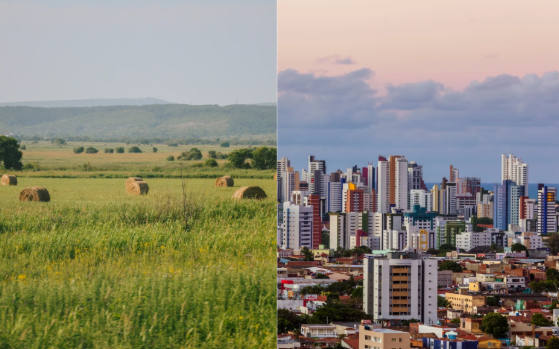 Rural vs urban